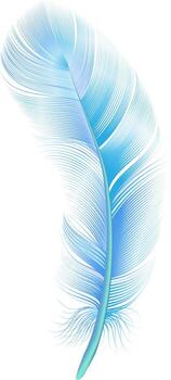 Light blue feather with turquoise shades on the lower part of the shaft floating on a white background, representing lightness, softness and delicacy vector