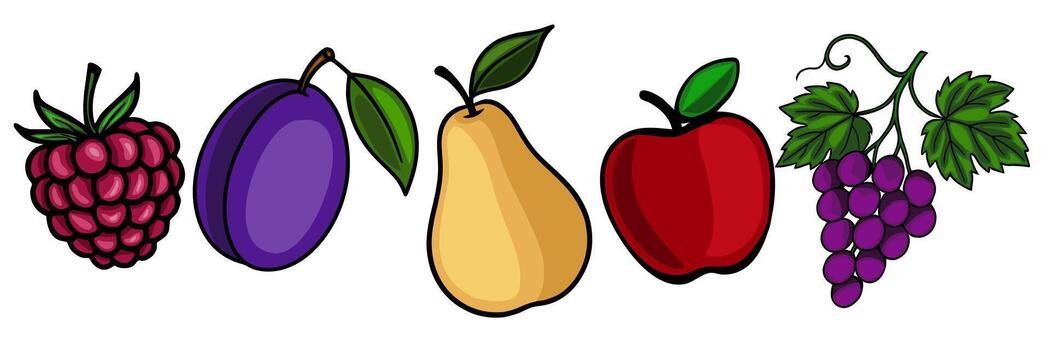 vibrante ilustración de un frambuesa, ciruela, pera, manzana, y uvas, exhibiendo un animado arreglo de vistoso frutas con detallado línea Arte y sombreado. vector