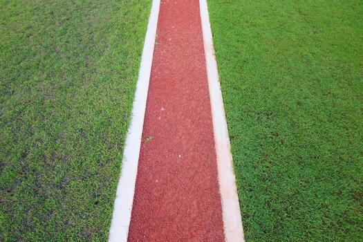 A red path cutting straight through green grass in a balanced, minimalist layout. Strong visual contrast makes it ideal for abstract backgrounds and health or eco concepts. photo