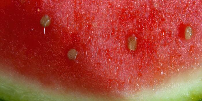 This image captures a vibrant close-up of a juicy watermelon slice, highlighting the refreshing summer fruit. photo