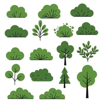Various trees and bushes in different shapes and sizes vector