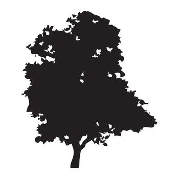 Tree as Part of Company Values Poster vector