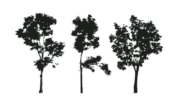 Tree for Creative Use vector