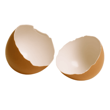 Two halves of a brown eggshell are shown, cracked open and empty. They highlight fragility and are ideal for themes of cooking, baking, or new beginnings. png