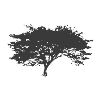 Tree in Flat and Shadow Style vector