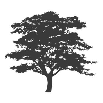 Tree in Zentangle Pattern vector