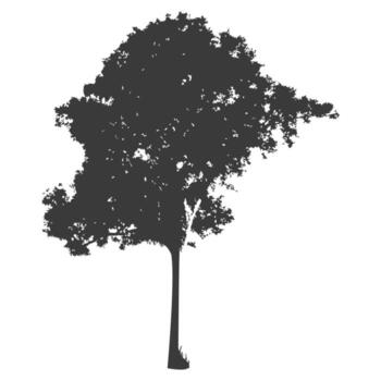 Decorative Tree for Frame Design vector