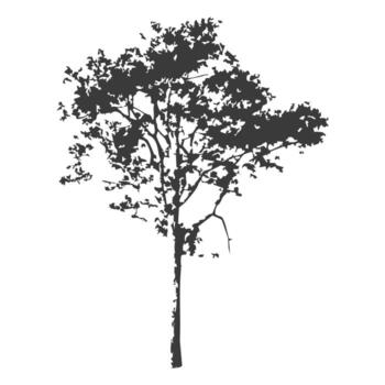 Tree with Unusual Shape vector