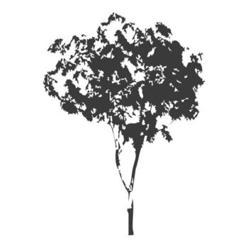 Tree for Community Development Projects vector