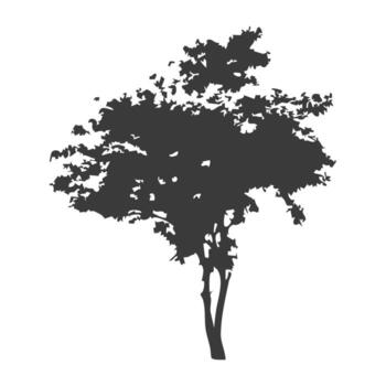 Tree with Old Paper Background vector
