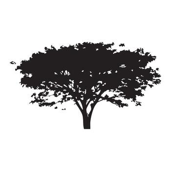 árbol con lago reflexión vector