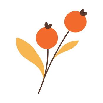 un dibujo de dos naranja bayas con un hoja en entre. el dibujo tiene un brillante y alegre ánimo, con el naranja bayas y hoja creando un sentido de calor y felicidad vector