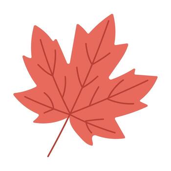 A red leaf with a white background. The leaf is drawn in a stylized way, with a focus on its veins and the way it looks in the fall vector