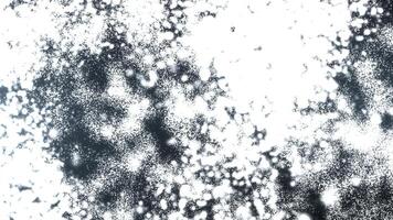 ren vit grå bakgrund med skimrande damm partiklar och glitter skapande en skön bokeh. video