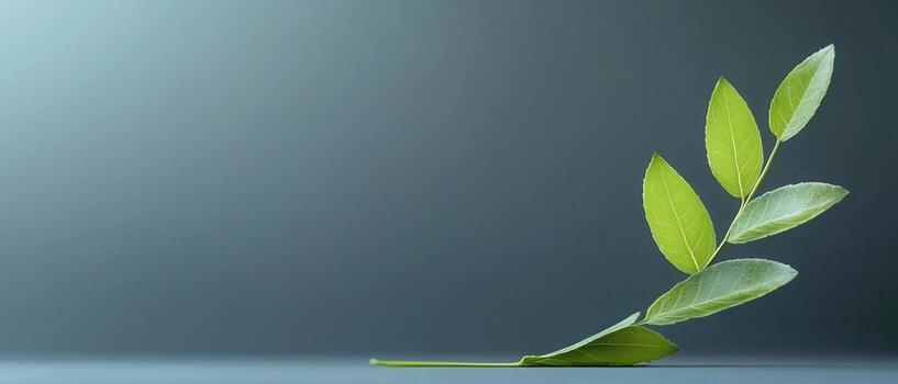 Green leaf sprout on blurred background shows new growth concept photo