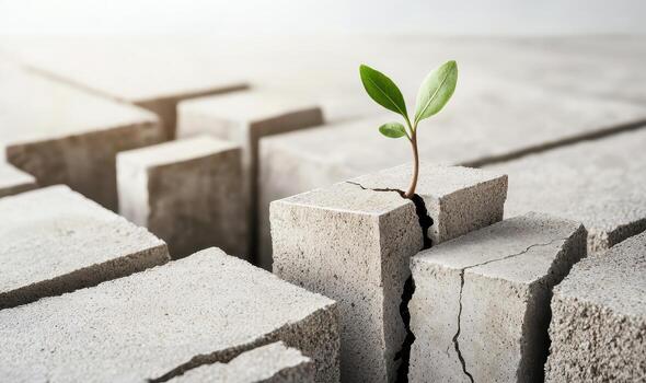 Small green seedling sprouting through crack in concrete blocks symbolizing hope and growth photo
