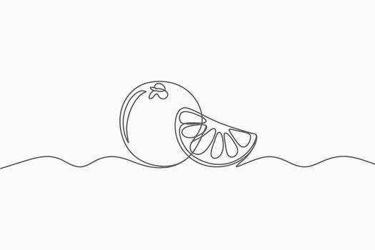 Continuous line drawing of a whole orange and a slice isolated on white background vector