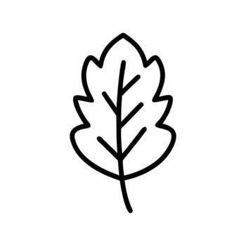 Simplistic bold outline of a leaf with defined veins stands out on transparent backdrop vector