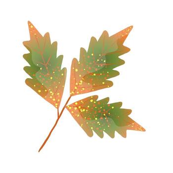 otoño hoja en degradado color mano dibujado con de moda texturas aislado en blanco antecedentes. otoño, otoño hoja, follaje, caído hoja, acción de gracias vector