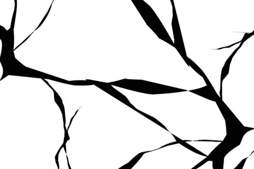 A black and white image of a broken tree vector