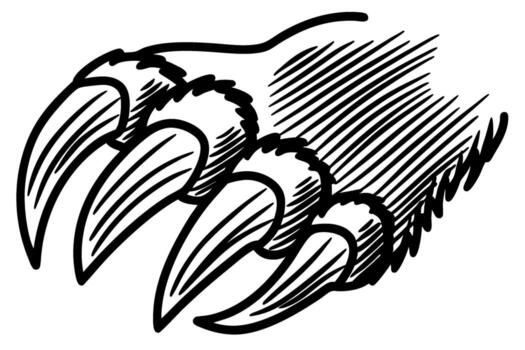 Wild animal paw with sharp claws, sketch illustration of beast limb ferocious, predatory creature hand, dangerous talon vector