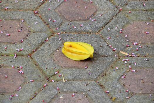 Yellow Starfruit on Paving Block Starting to Rot photo