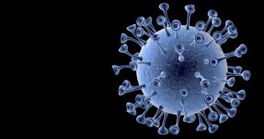 coronavirus covid-19 molécula video