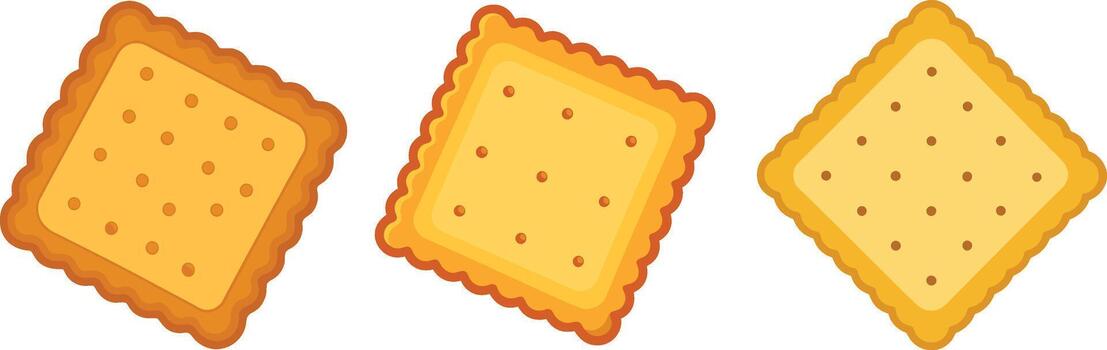 Three crackers with different shapes and sizes vector