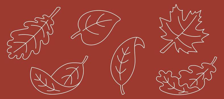 Minimalist autumn curved leaves line art set on warm terracotta background. Editable stroke. Simple outline foliage collection with oak, maple, and assorted leaf shapes. Botanical fall season vector