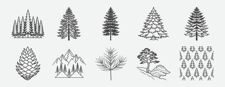 Pine Tree Line Art Set with Forest Mountain Winter Snow Pine Cone and Botanical Illustrations vector