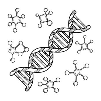 Hand Drawn DNA Helix and Molecular Structures Illustration for Science and Medical Concepts vector