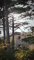 Sunlight Through Pine Trees Illuminating Classic Villa With Round Window In Serene Forest Setting, Captured In Warm Morning Light video