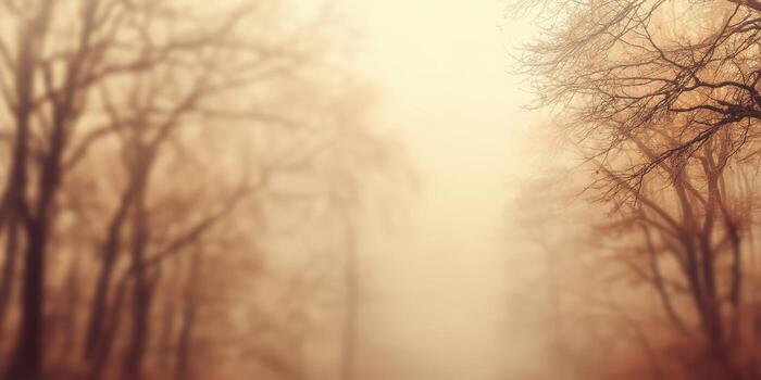 panoramic blurry forest background with sunlight bokeh and soft glowing light through trees photo