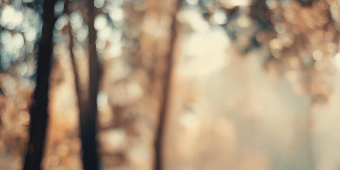 panoramic blurred forest with soft sunlight creating a peaceful and dreamy atmosphere photo