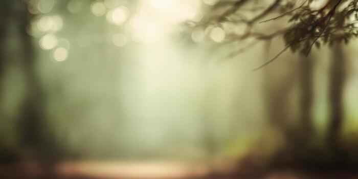 blurred forest at sunrise with warm tones and atmospheric lighting photo