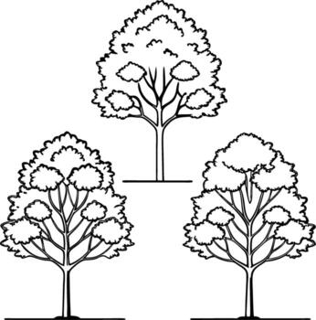 línea Arte ilustraciones de Tres diferente arboles vector