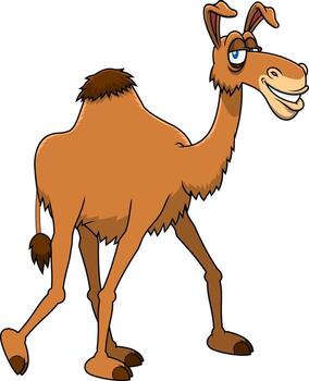 Smiling Camel Cartoon Character Walking In Desert vector