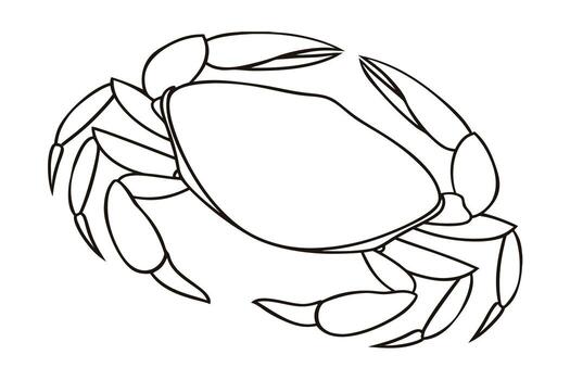 A Simple Outline Drawing of a Crab on a Transparent Background Showing its Many Legs and Claws vector