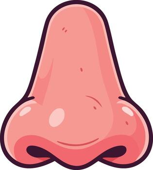 Human nose illustration with detailed shading and smooth lines for anatomy and facial feature design image vector