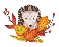 Hedgehog with autumn leaves vector