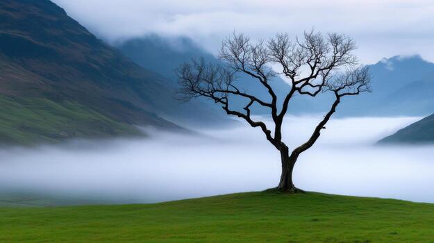 un solitario árbol sube encima laminación colinas mientras niebla mantas el Valle abajo. majestuoso montañas torre en el fondo, creando un sereno atmósfera a amanecer foto