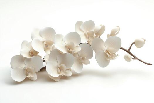 3d modelo de blanco orquídea en blanco antecedentes foto