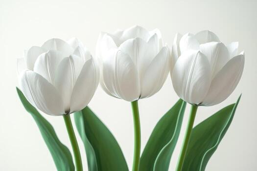 Tres blanco tulipanes son en un florero foto