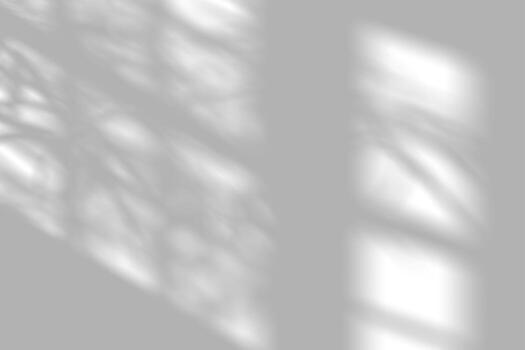 Light streaming through a window casting abstract tree shadows. photo