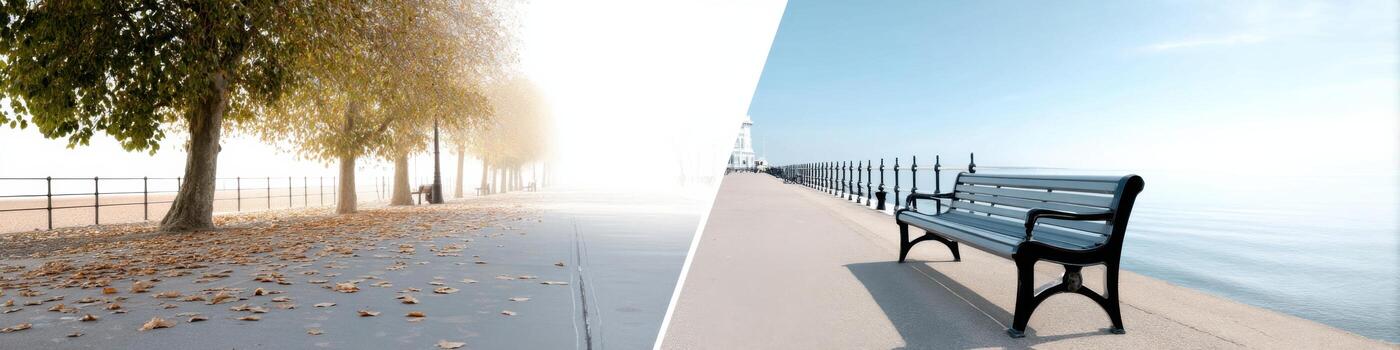 Transforming spaces with the change of seasons in a park and beach setting photo