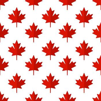 Maple leaf seamless pattern on a white background. vector