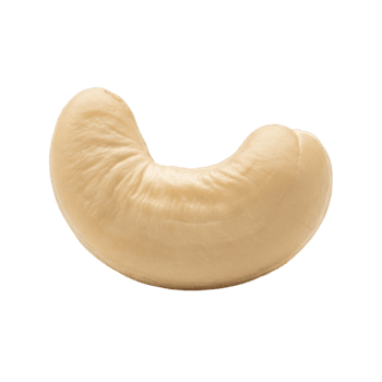 un' singolo anacardio Noce con un' liscio struttura e curvo forma, ideale per uso nel salutare spuntini e culinario applicazioni. png