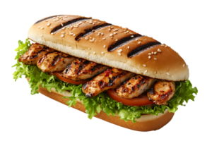 Delicious Grilled Chicken Sandwich on Sesame Bun on transparent background png
