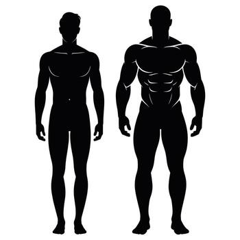 Two men standing in front of each other, one is muscular and the other is not vector