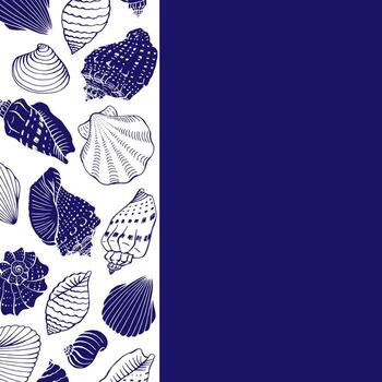 Seashells frame. Sea and ocean design template. card template vector